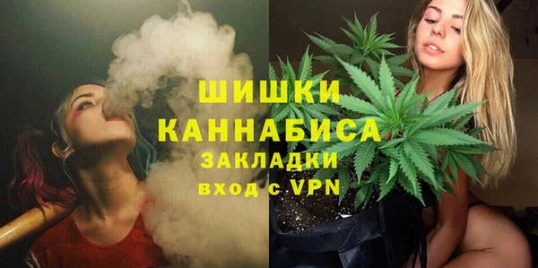 соль ск Новодвинск