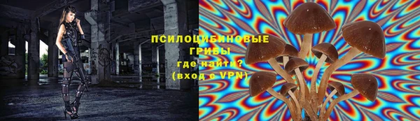 метадон Новозыбков